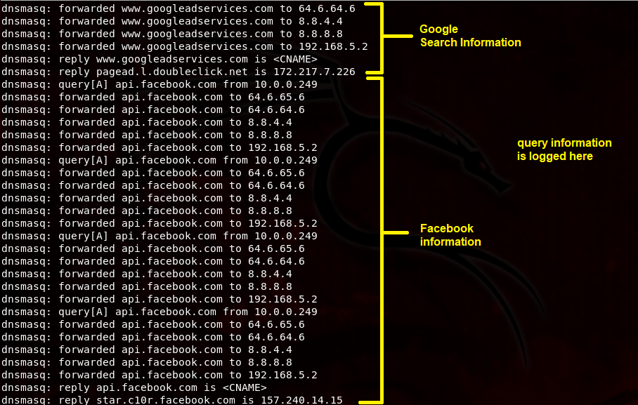 dns log information.png