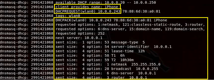 dnsmasq dhcp info.png