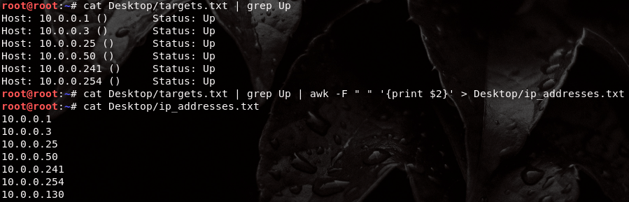 cat ip addresses.png