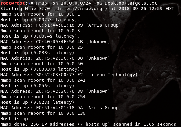 nmap ping scan.png